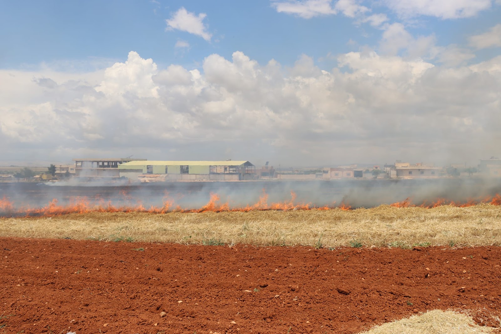 Abdullatif: PYD Militia Perpetrate Annual War Crime Through Crop Burning